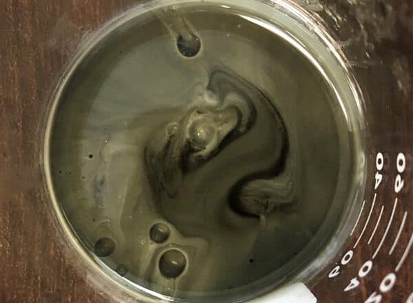 Top-down view of a beaker of oil mixed with water. Not a pretty sight.