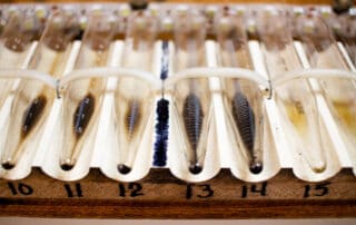 Close up image of Blackstone's insolubles tubes with black solids at the bottom of each