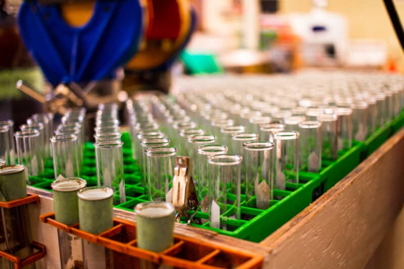 Clean test tubes lined up in a green test tube rack, in preparation for oil to be added for testing.